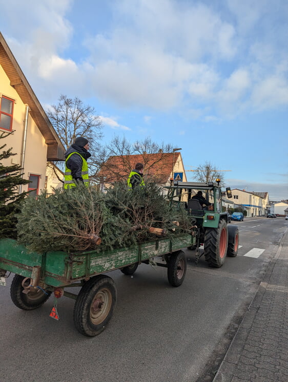 Christbaumsammlung